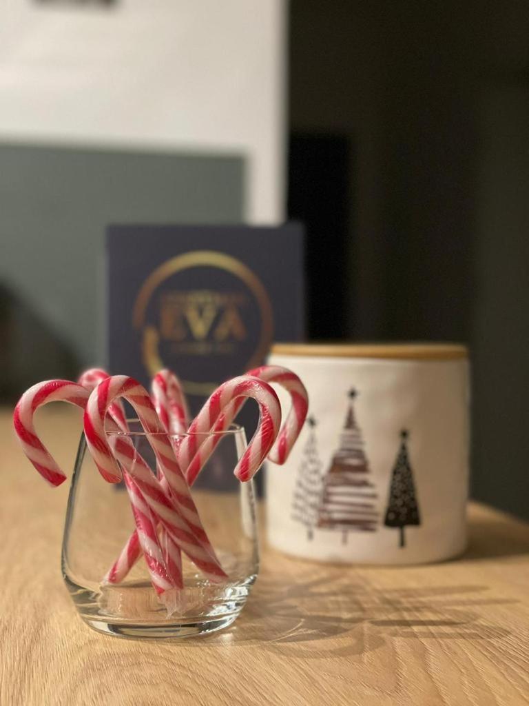 Apartman Eva, Moderan Stan U Srcu Zagorja Krapina Exteriér fotografie